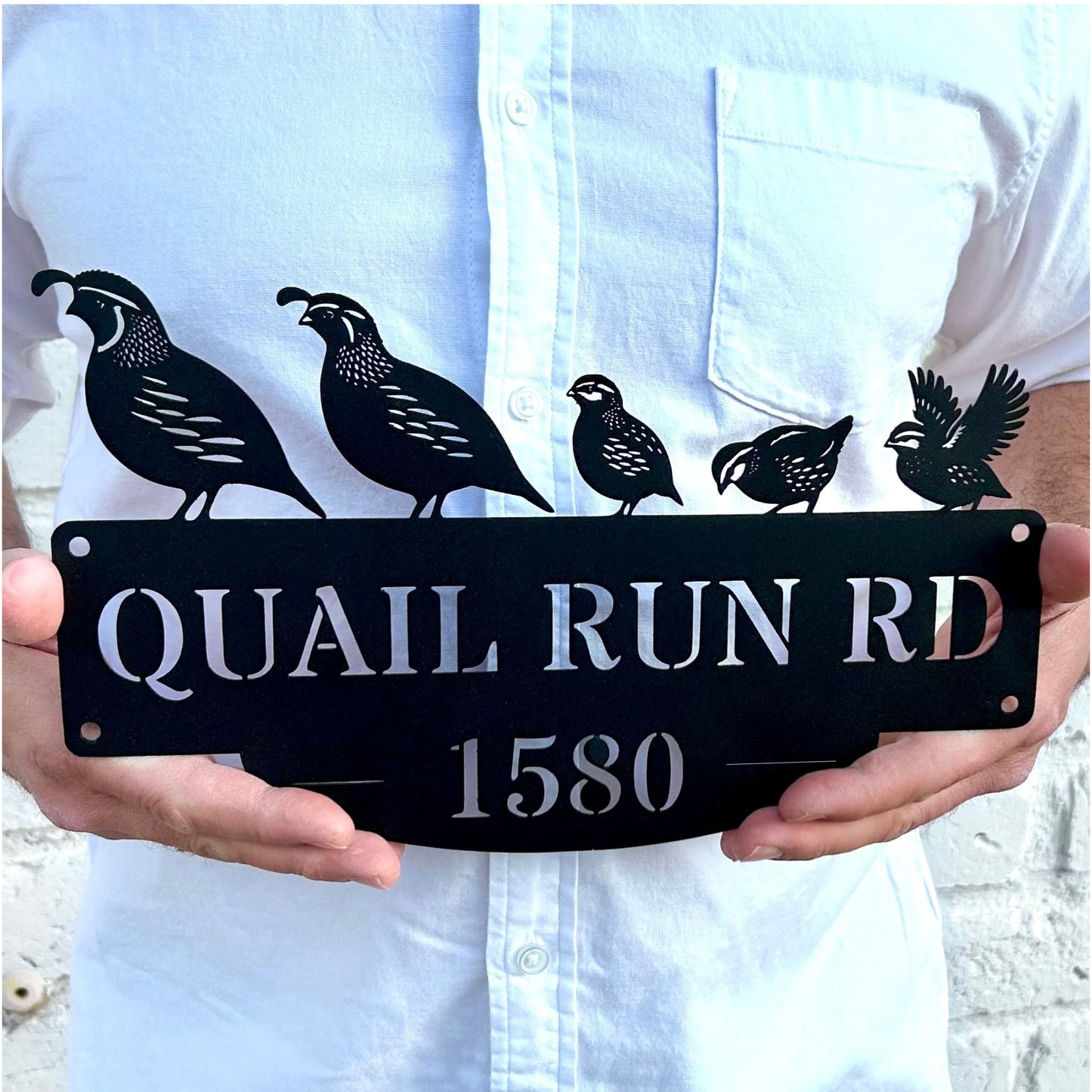 Desert Quail Address Sign